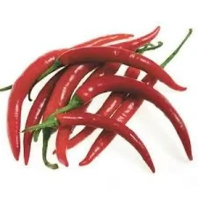 Fresh Chillies P/Kg